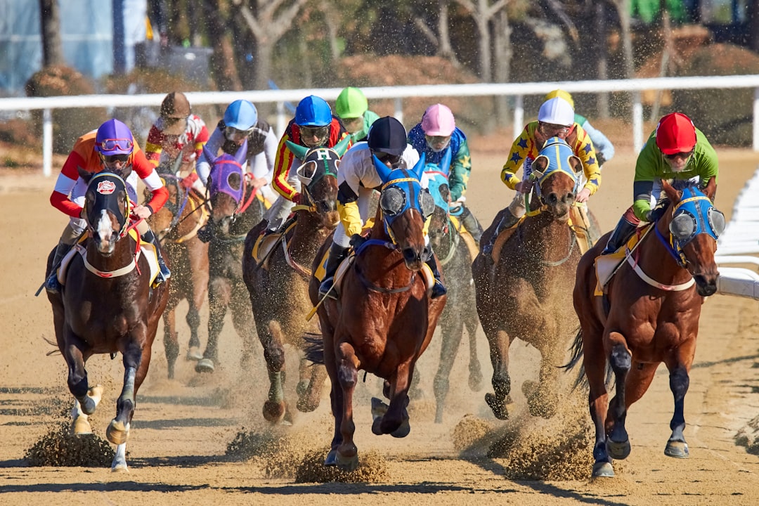 Thoroughbred racehorses competing on turf