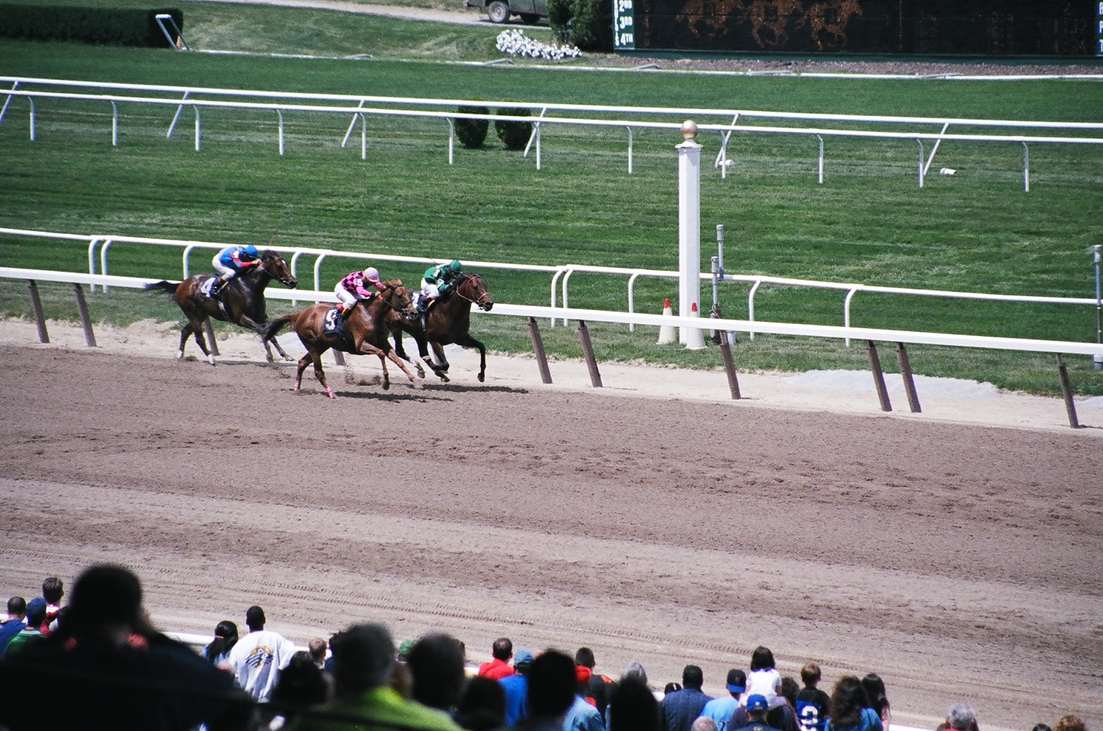Thoroughbred horses racing on the main track at Belmont Park