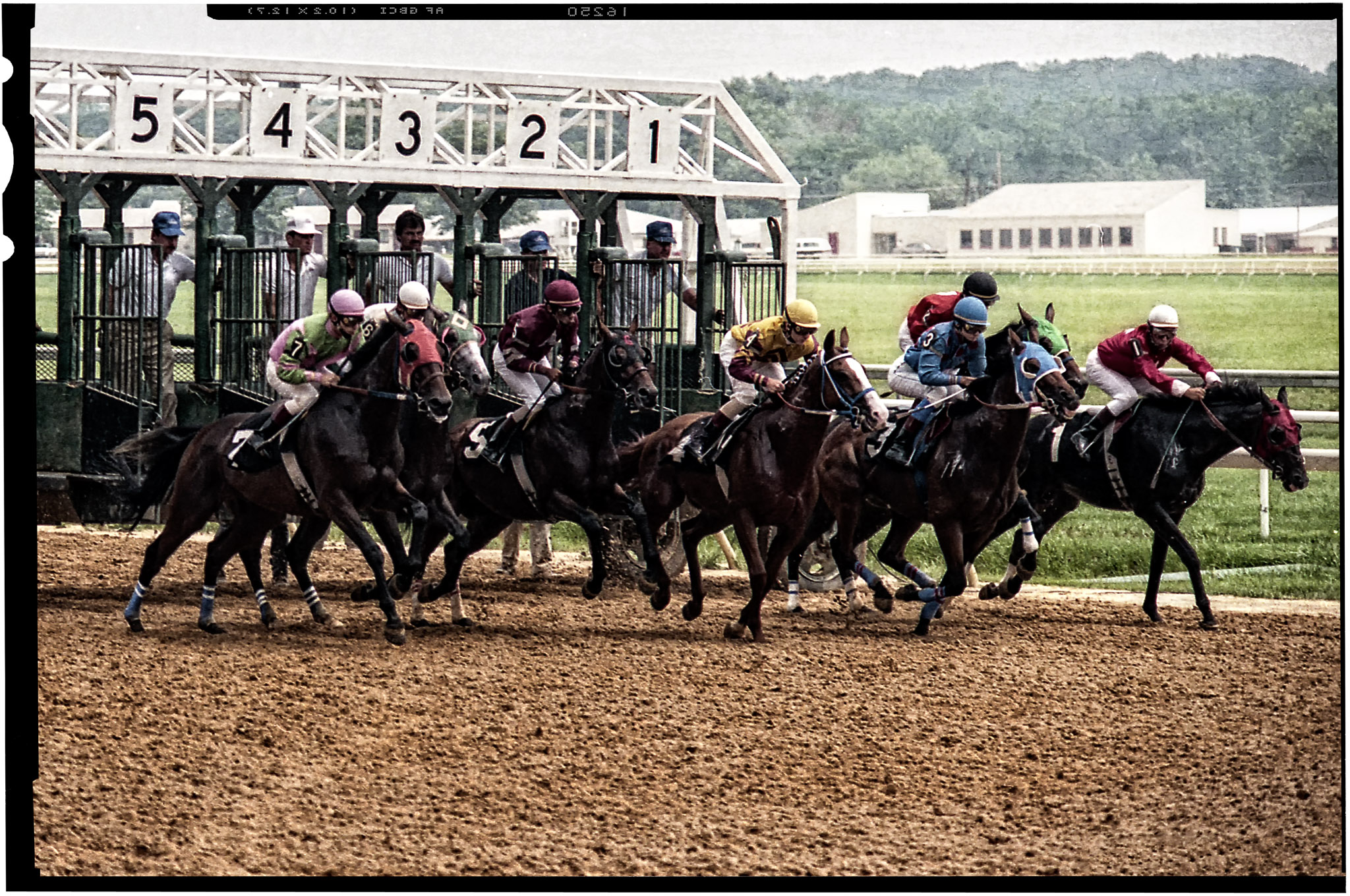 Forever Young Moves to Top of Breeders’ Cup Classic Rankings