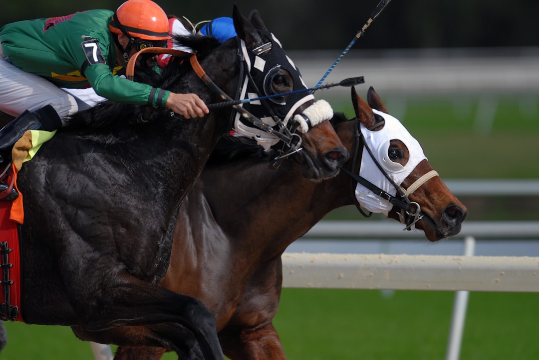 Young thoroughbred racehorses sprinting on turf