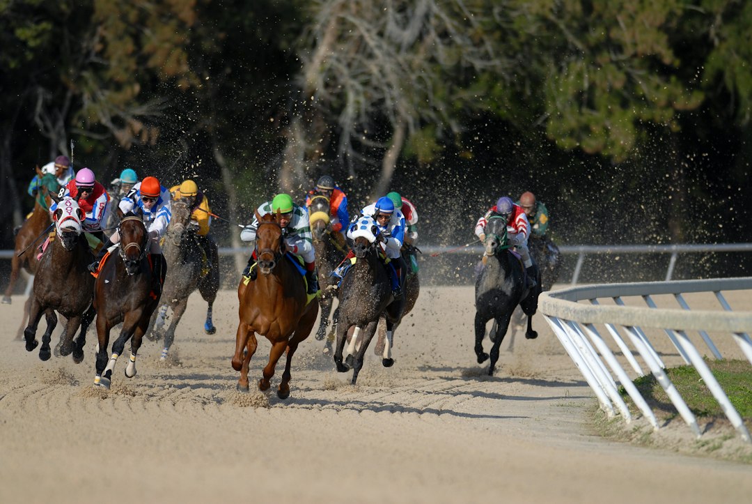 Thoroughbred horses racing on a dirt track