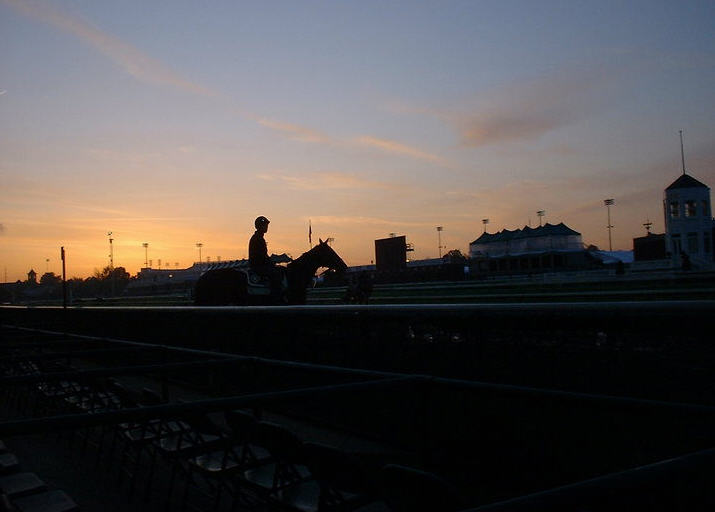 Salahudin and Manuka Honey Stay Perfect in Churchill Downs Juvenile Stakes
