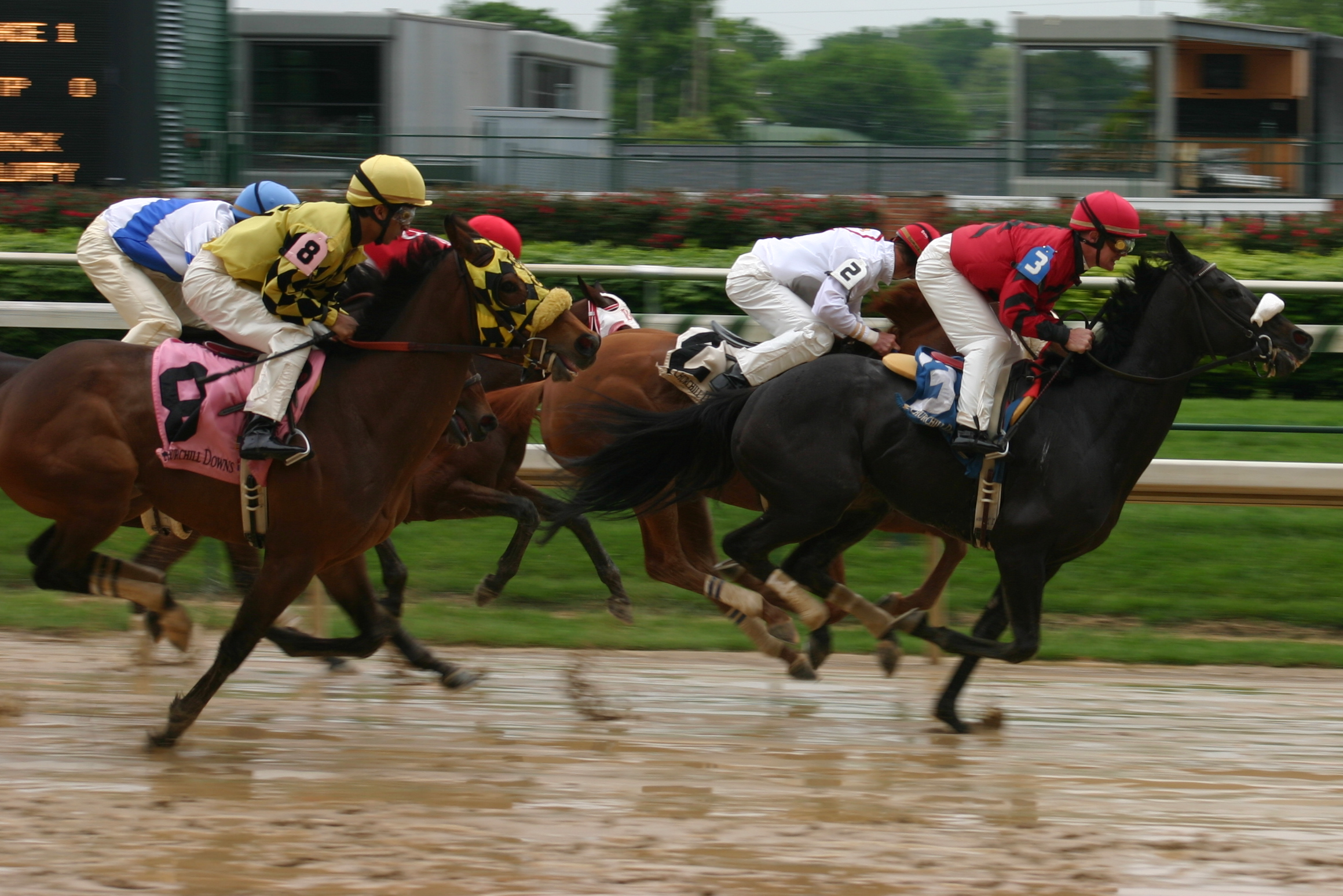 Chunk of Gold Favored in Lukas Classic at Churchill Downs