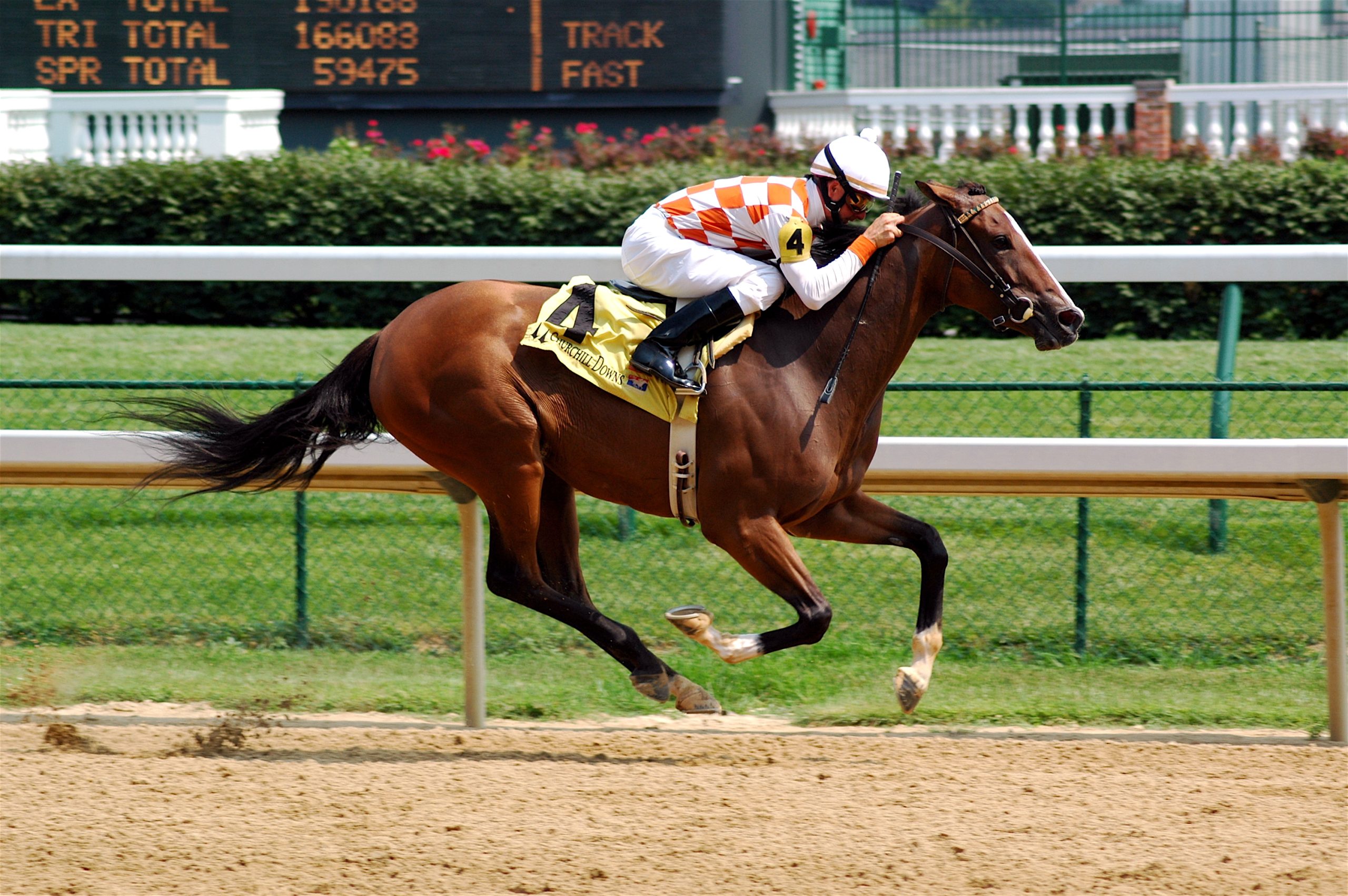 Consequent Stays Unbeaten With Seneca Stakes Victory