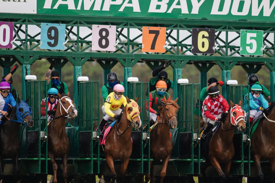 Thoroughbred horses at a starting gate, photo by Taylor Sondgeroth on Unsplash