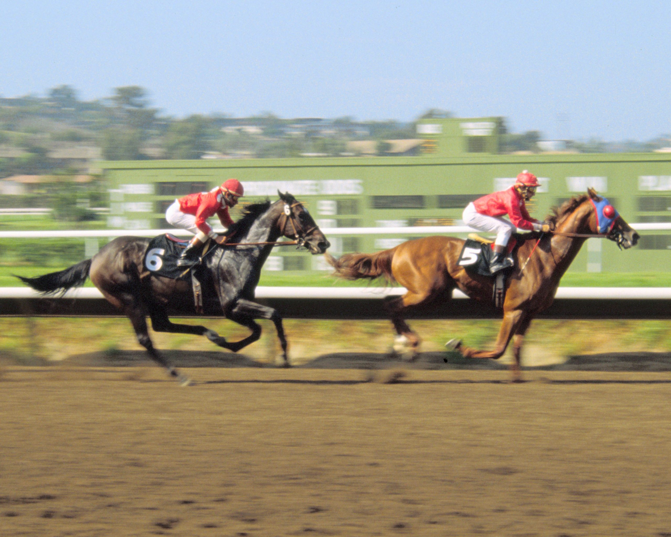 Del Mar Debutante Preview: Miss Monica Faces Nine Rivals in Grade 1 Test