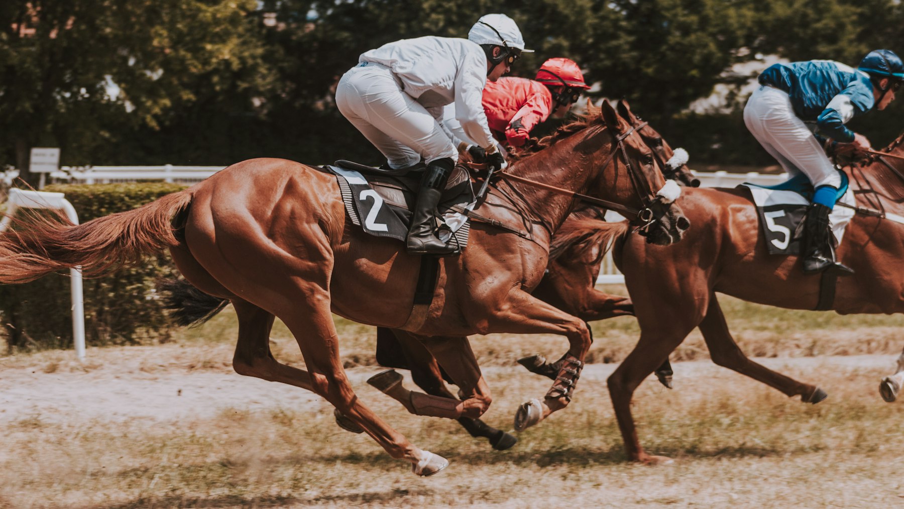 Medoro Wins John C. Mabee Stakes at Del Mar