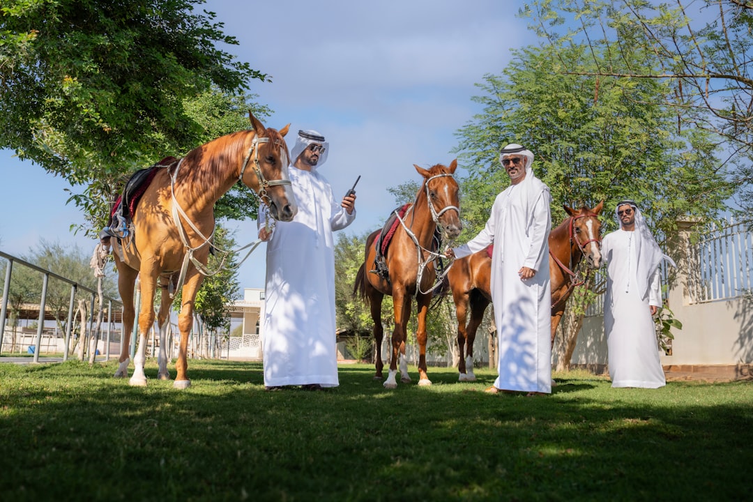 Thoroughbred horse in the United Arab Emirates, featured image for the Dubai World Cup guide