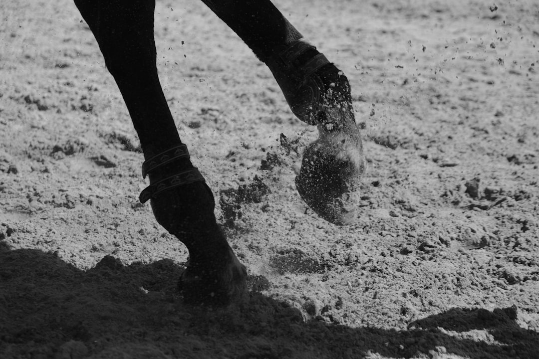 Horse hooves kicking up dirt during a race