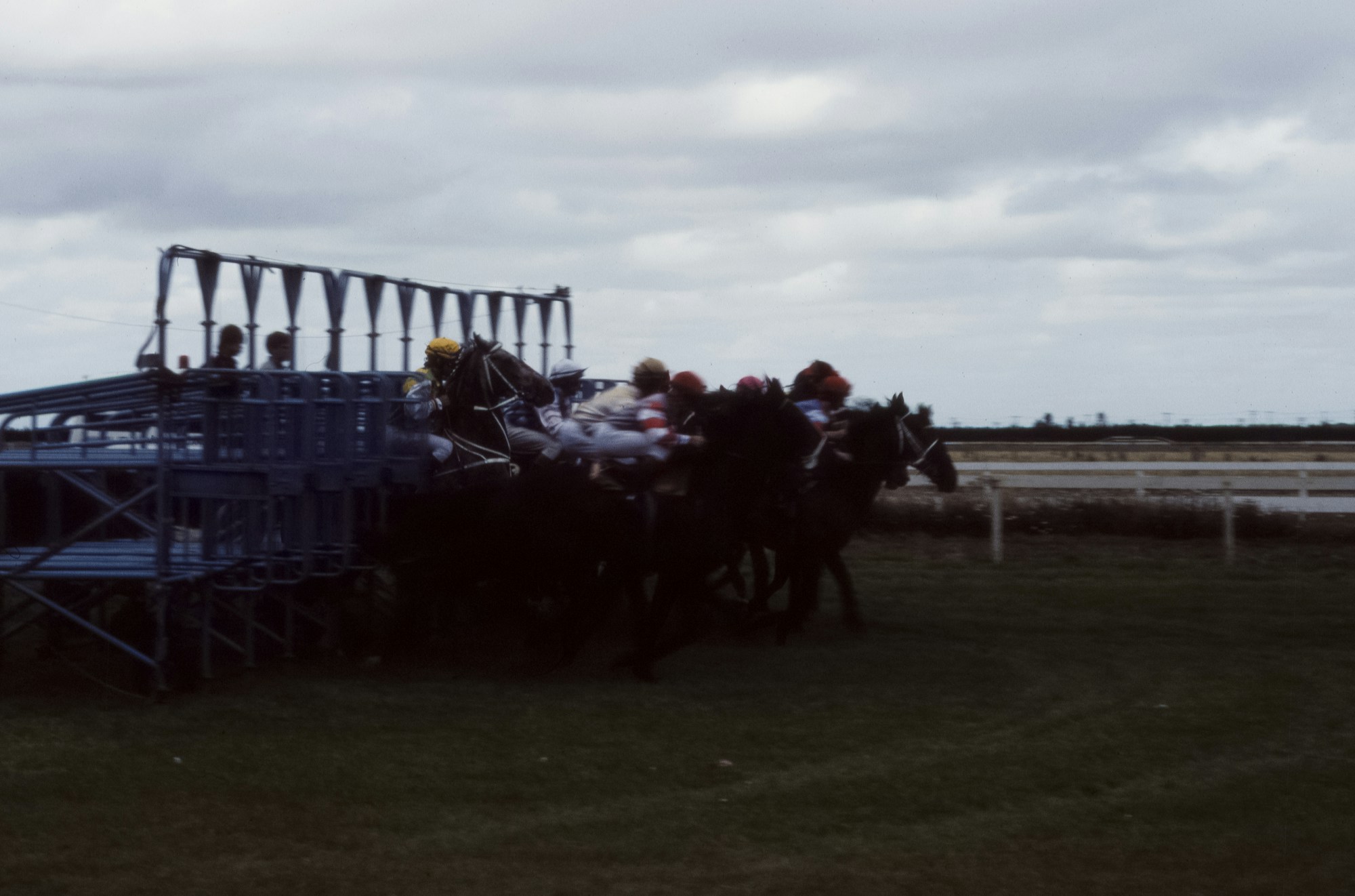 Flower Bowl Brings Breeders’ Cup Stakes to Belmont Park
