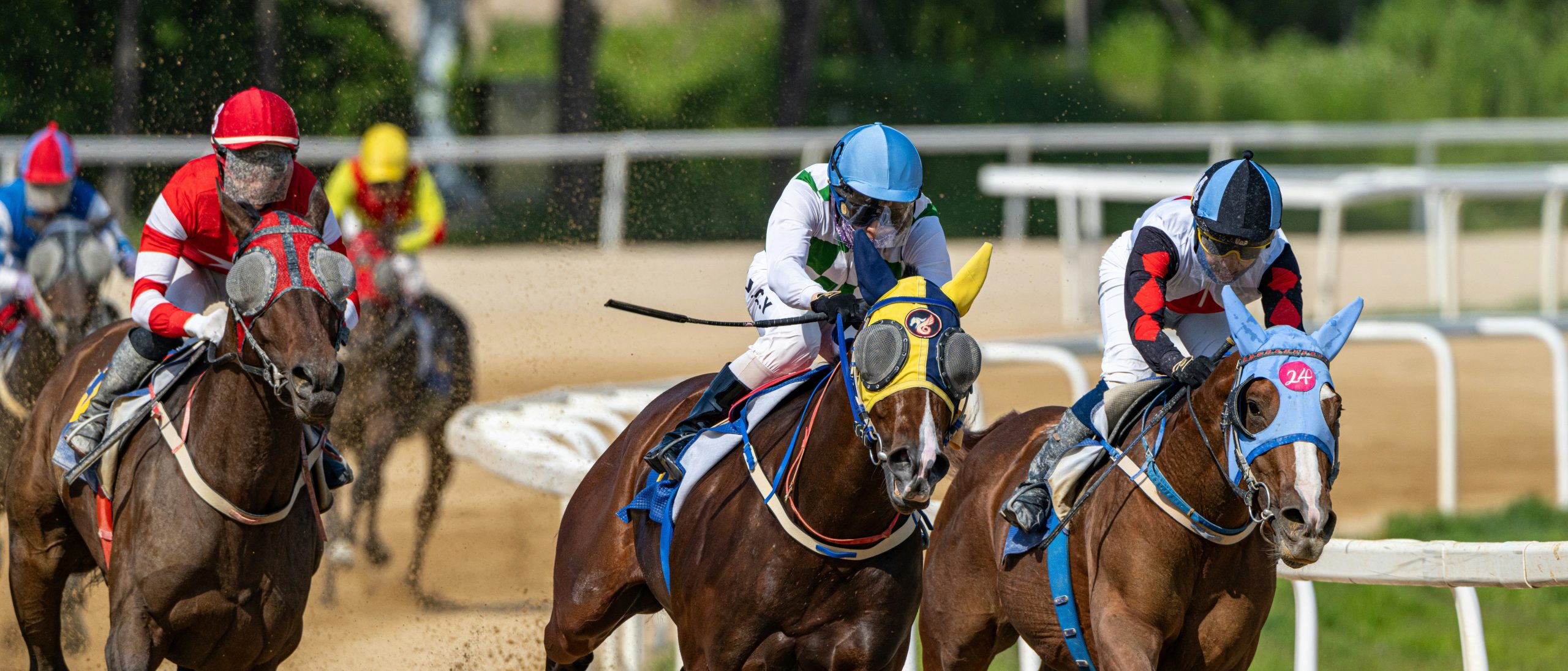 Gallant Bloom Stakes Preview Puts Beauty Reigns Against Defending Winner R Disaster