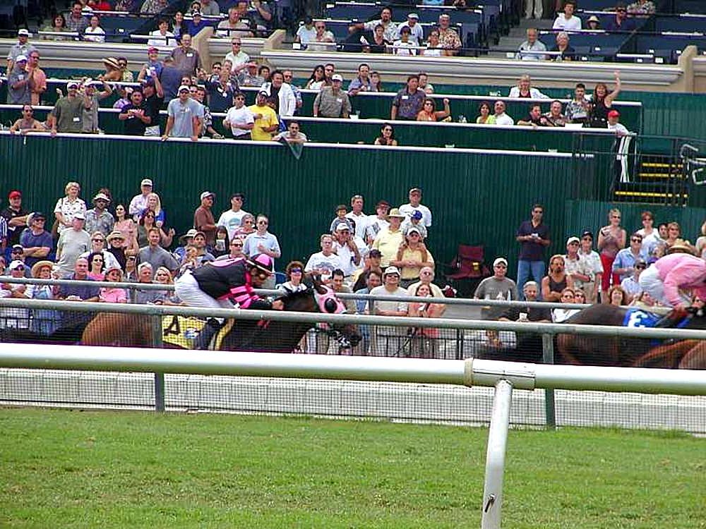 Thoroughbred horses racing on a track