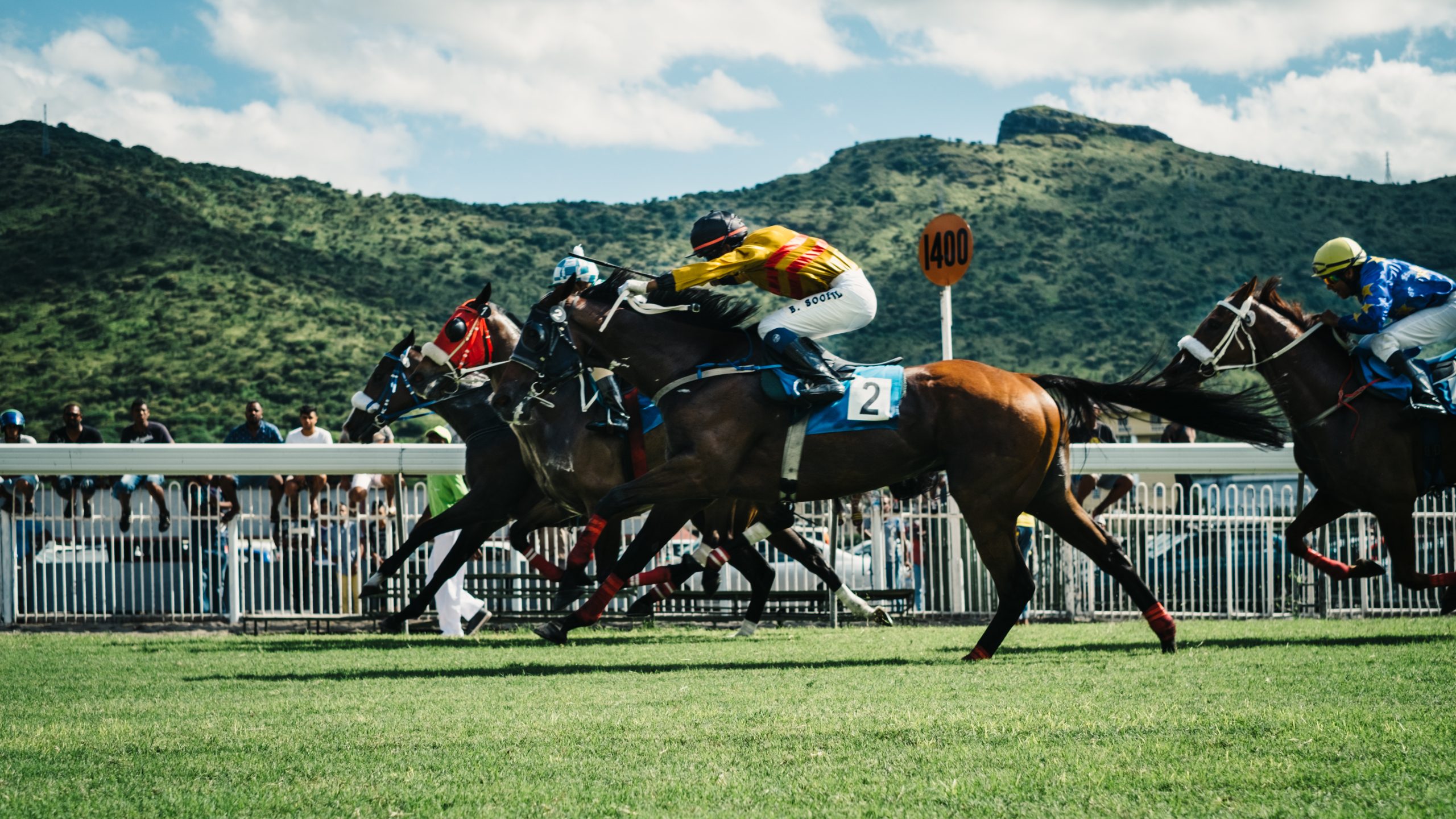 Stradale Heads 12 Horse Gallant Bob Stakes Field at Parx
