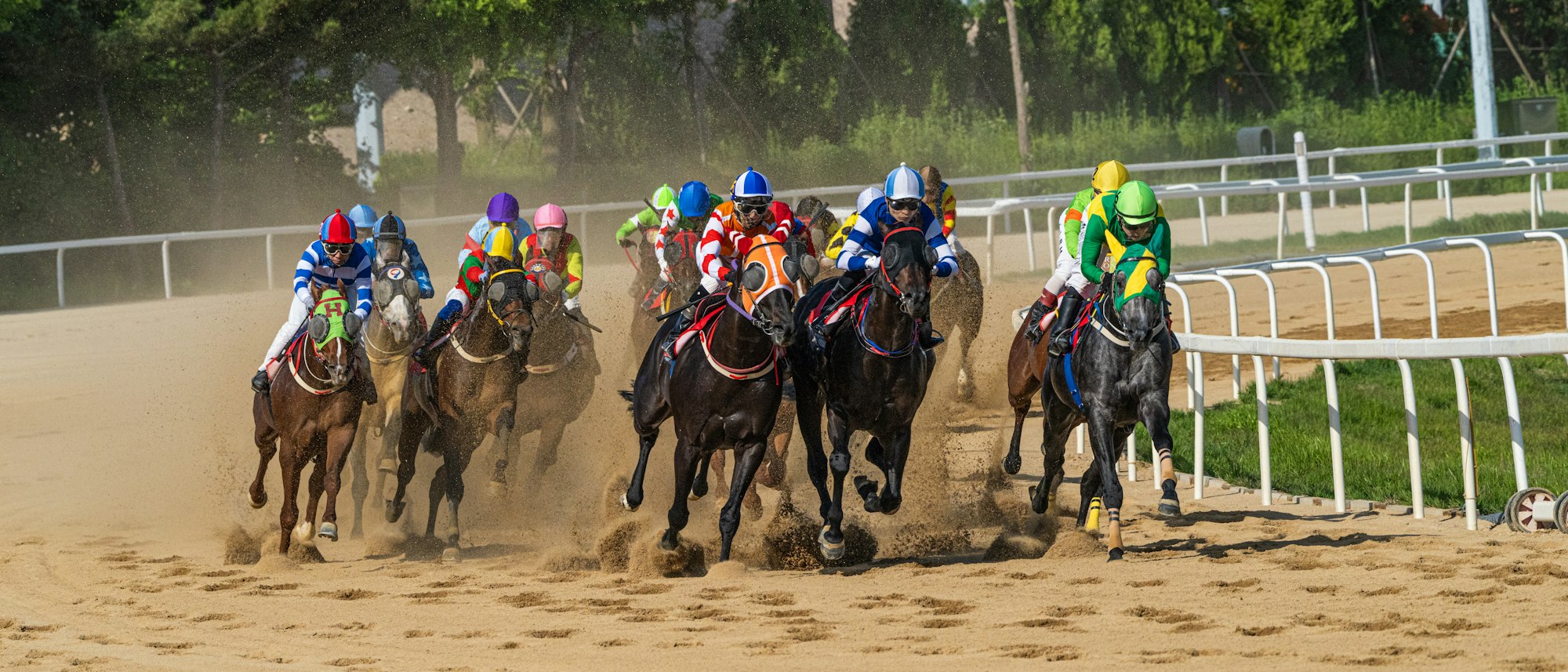 Conceit Wins Dogwood Stakes in Churchill Downs Photo Finish
