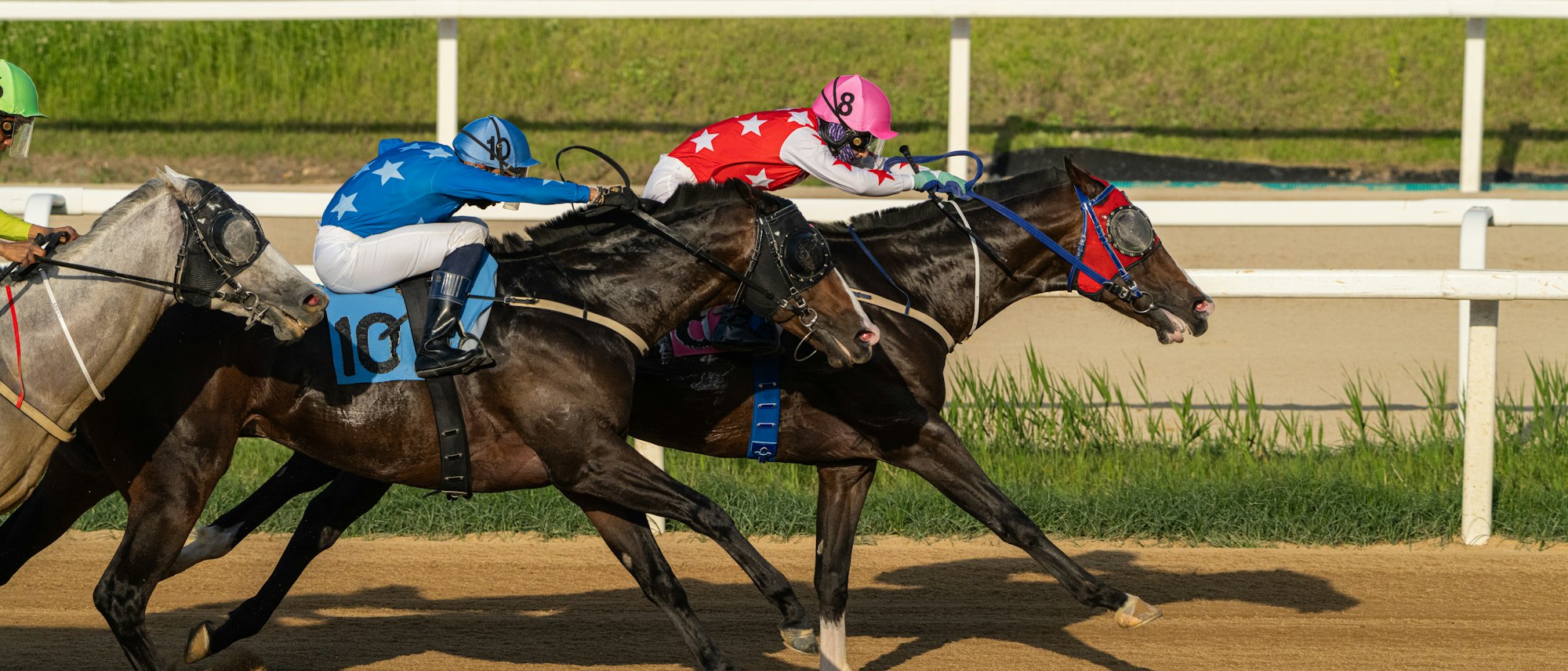 Stradale Wins Gallant Bob Stakes at Parx
