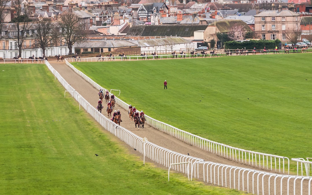 Racehorses training on turf, used for OTB Bet Irish St Leger guide