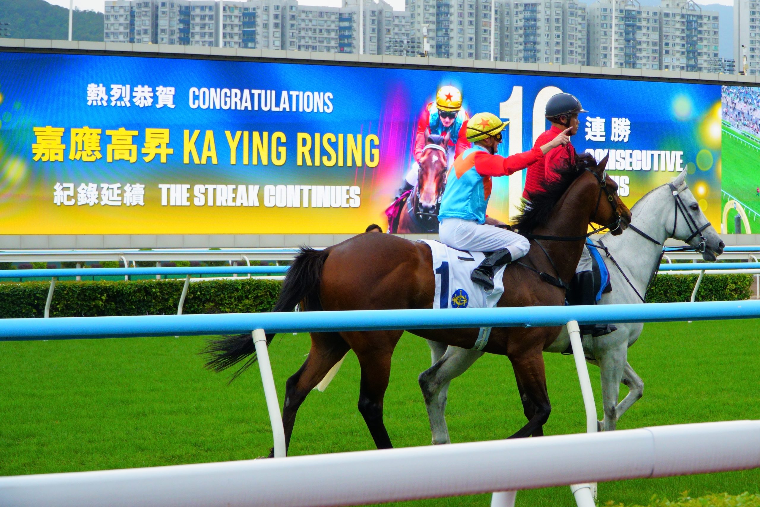 Ka Ying Rising Completes Final Sha Tin Gallop Before Everest Trip