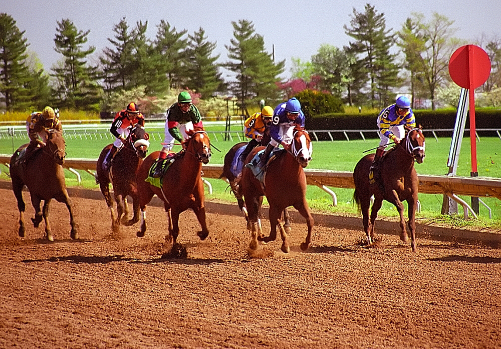 Thoroughbred horses racing on the turf at Keeneland
