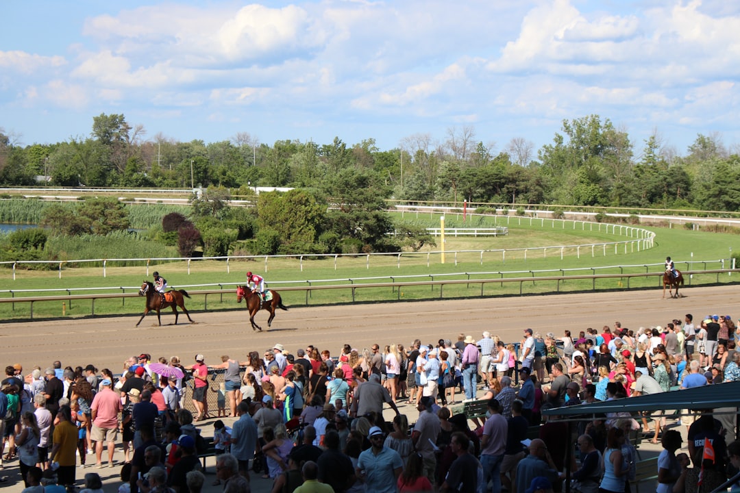 Spectators watching horse racing in Kentucky, used for OTB Bet's Breeders' Cup guide