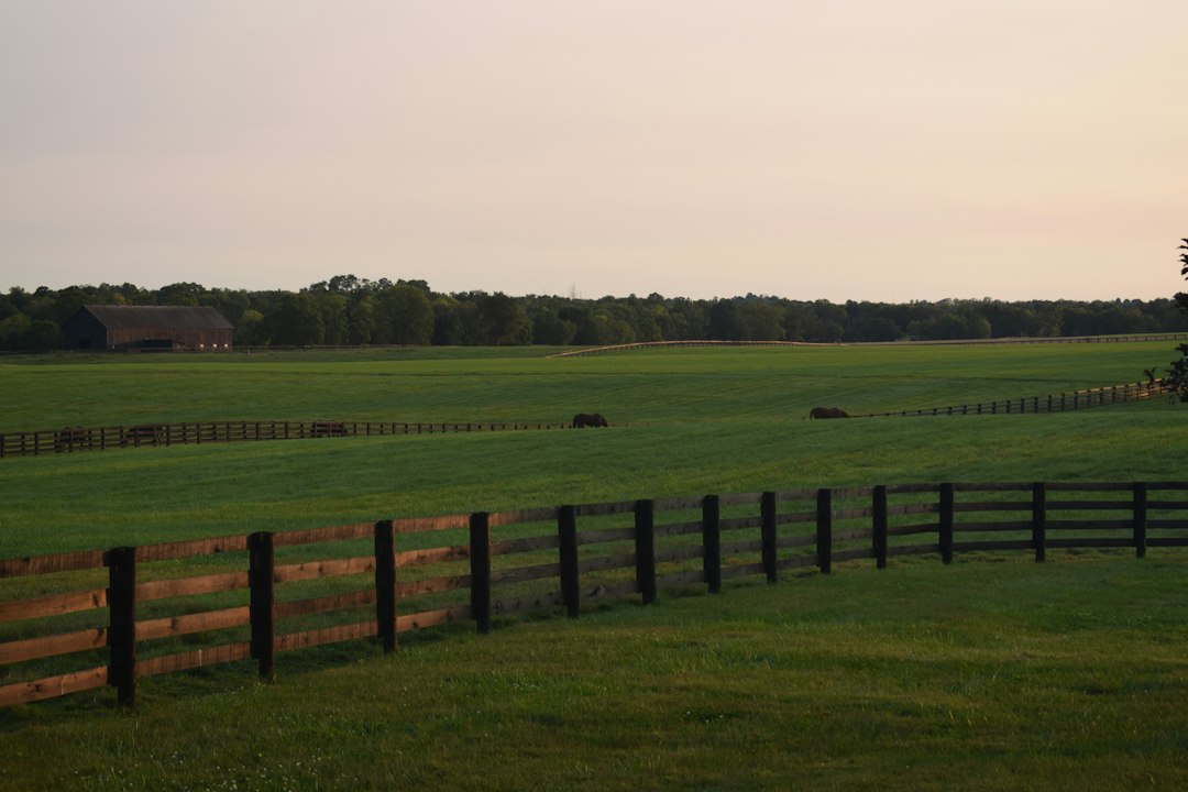 Horse farm in Kentucky