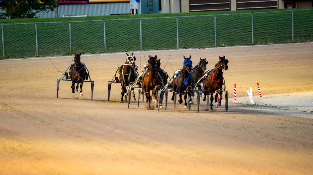 Thoroughbred racehorses rounding a turn on a dirt racetrack