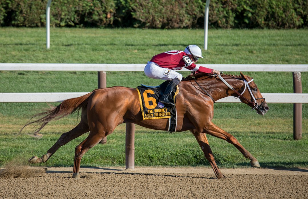 The Puma Wins Pennsylvania Derby at Parx