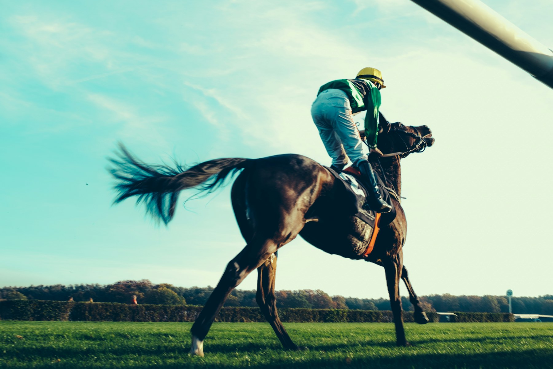 Saratoga Closing Day Preview: Funny Cide and Gio Ponti Anchor Labor Day Finale