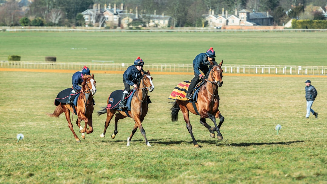 Thoroughbred racehorses training on turf, illustrating European championship racing
