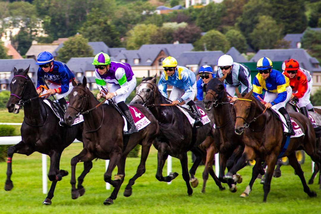 Group of racehorses and jockeys competing on the track, used for a horse racing betting guide