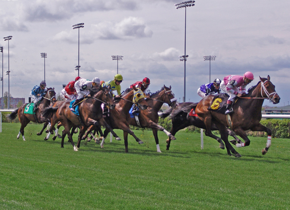 E.P. Taylor Turf Course at Woodbine Racetrack