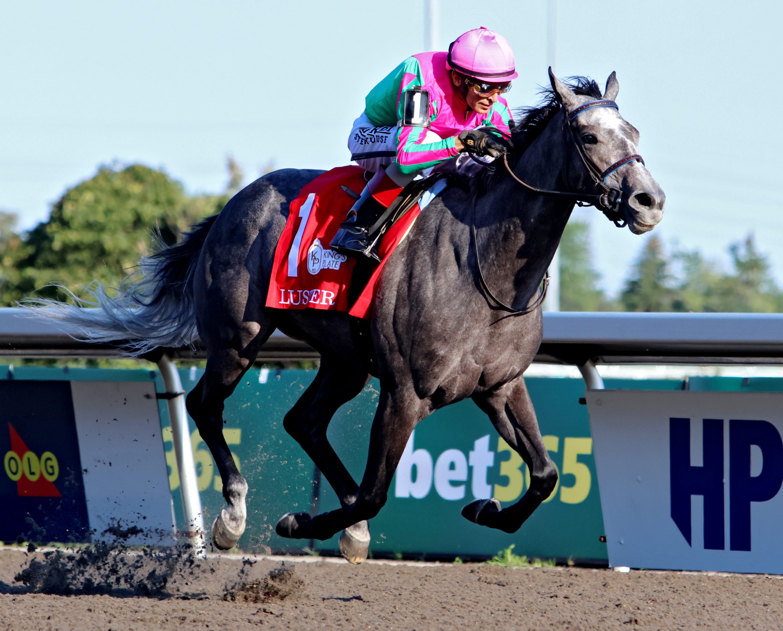 Thoroughbred racing at Woodbine Racetrack in Toronto during the 2026 season