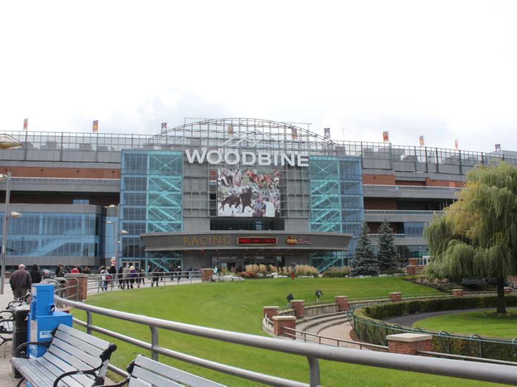 Notable Speech Wins Woodbine Mile and Secures Breeders’ Cup Mile Return