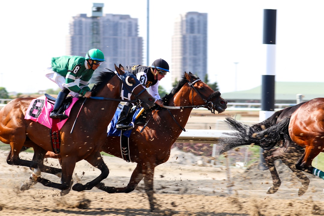 Stunningly Perfect, Souper Survivor and Elysian Field Win Woodbine Sunday Stakes